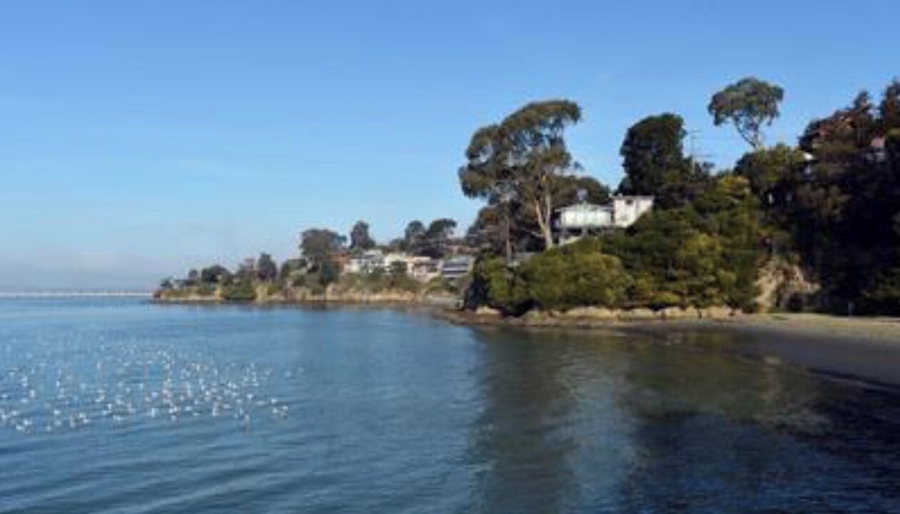 Photo of Others in Point Richmond