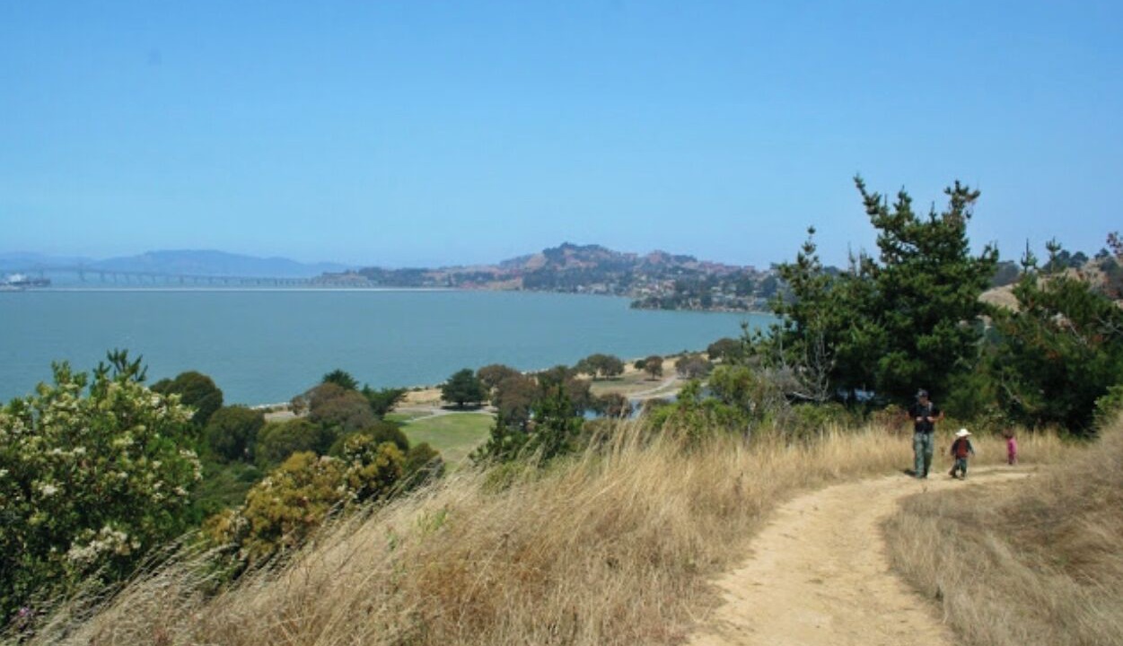 Photo of Others in Point Richmond