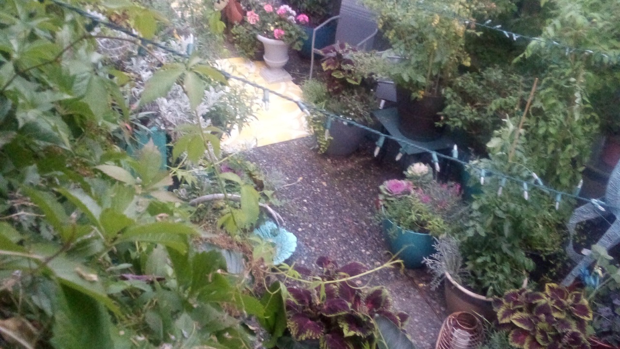 Photo of Outdoor in Spenard