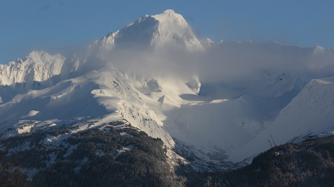 Photo of Others in Seward