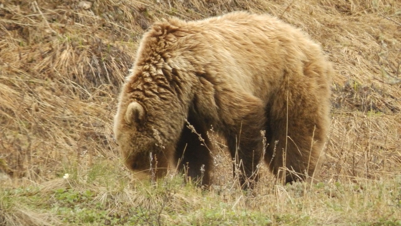 Photo of Others in Healy