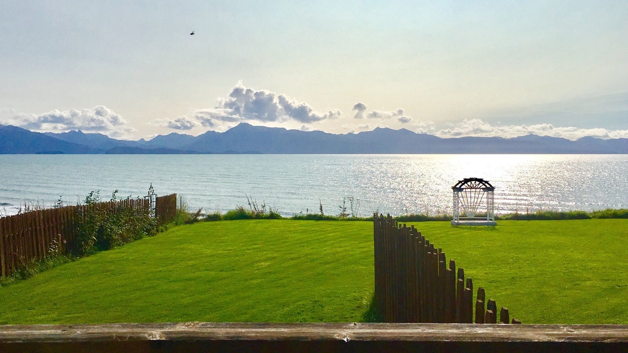Photo of Others in Homer