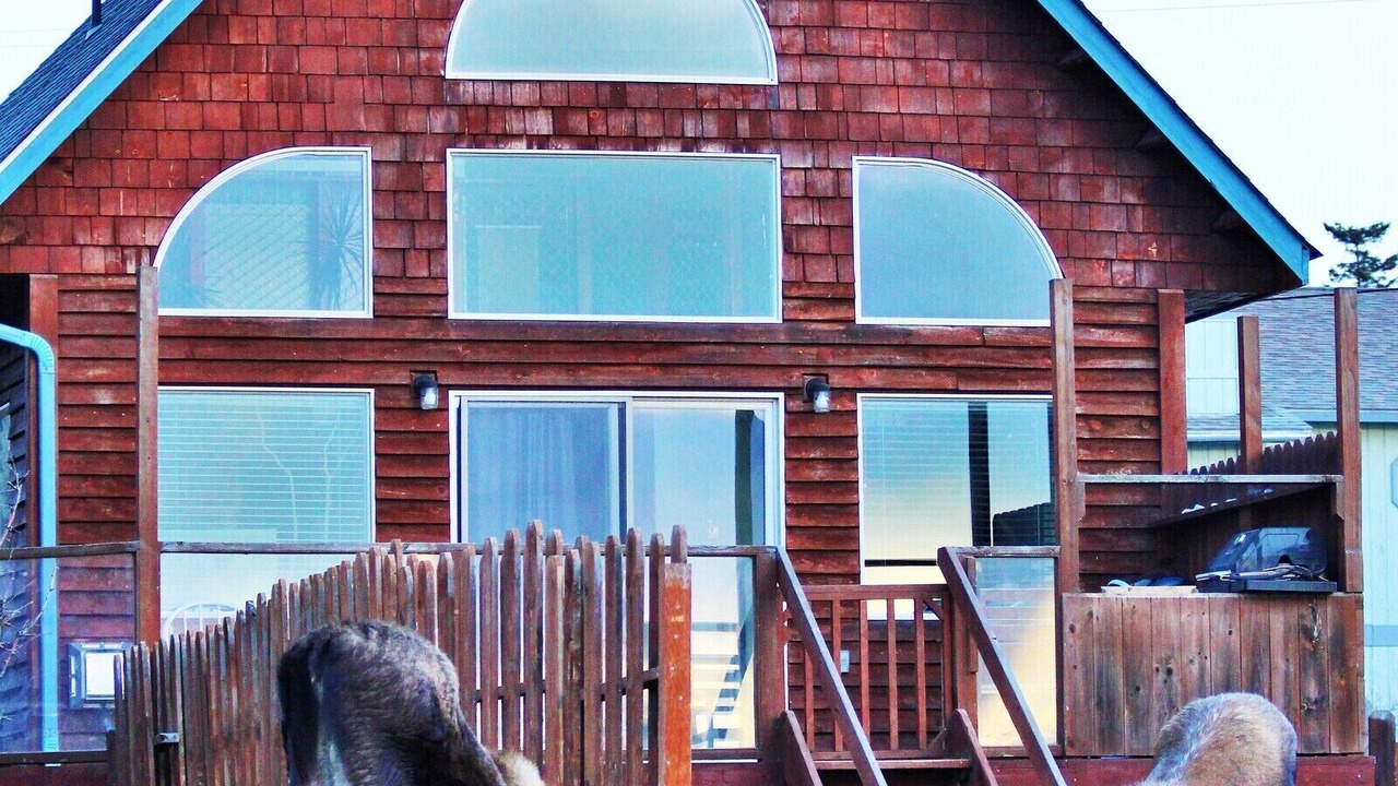 Photo of Others in Homer