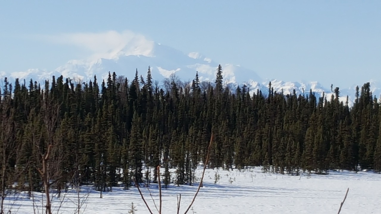 Photo of Others in Trapper Creek