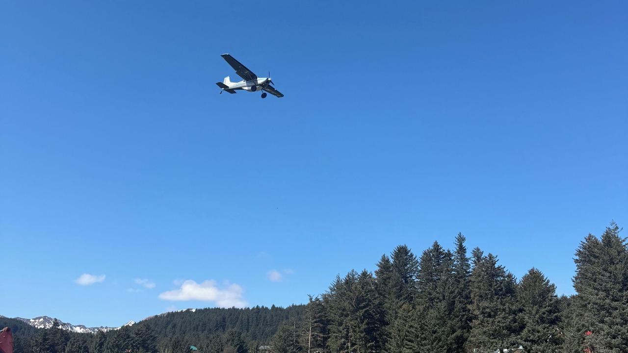 Photo of Others in Kodiak
