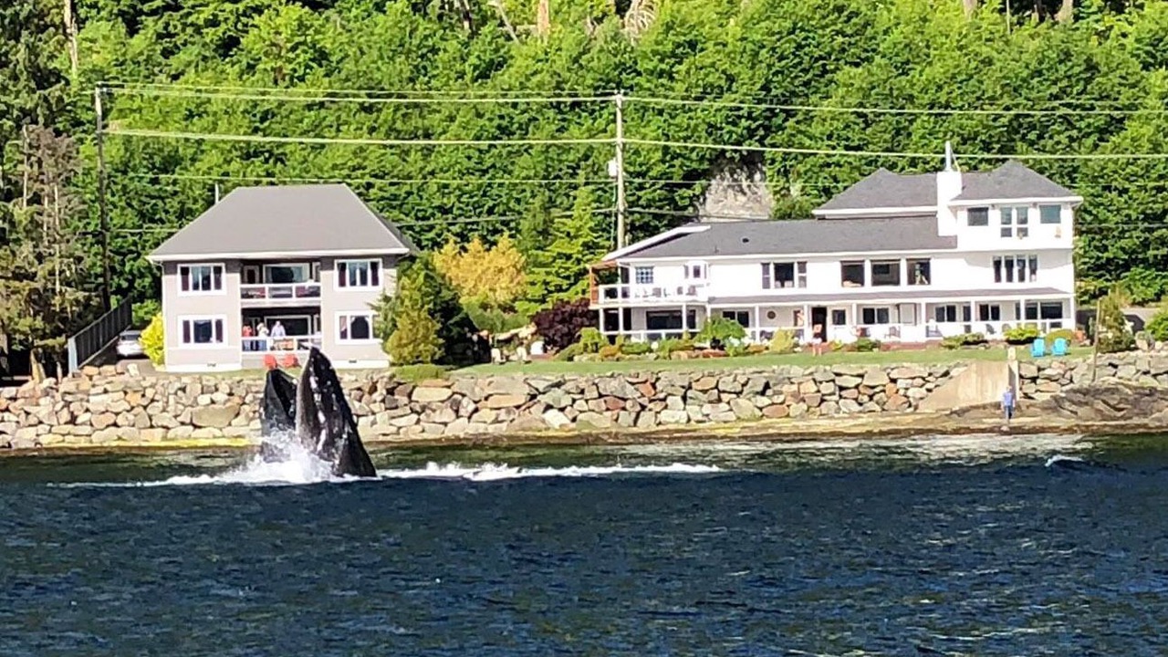 Photo of Others in Ketchikan