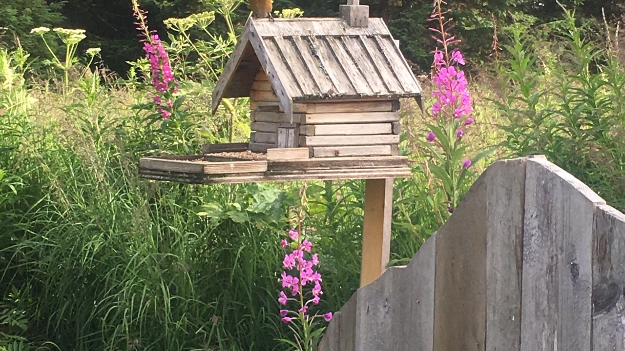 Photo of Outdoor in Diamond Ridge