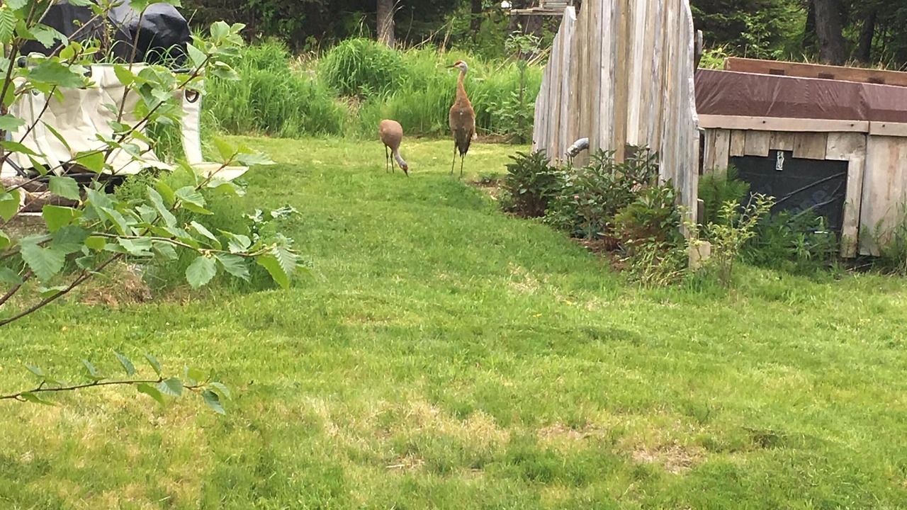 Photo of Others in Diamond Ridge