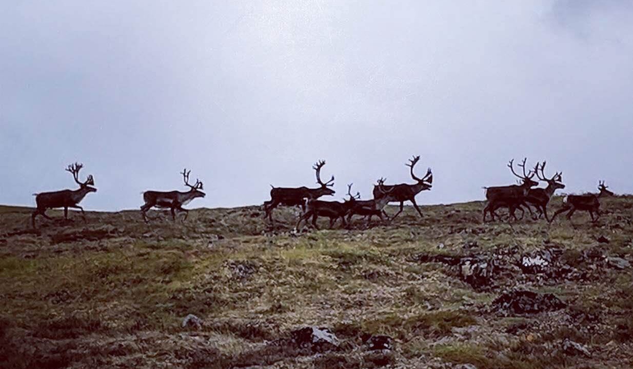 Photo of Others in Healy