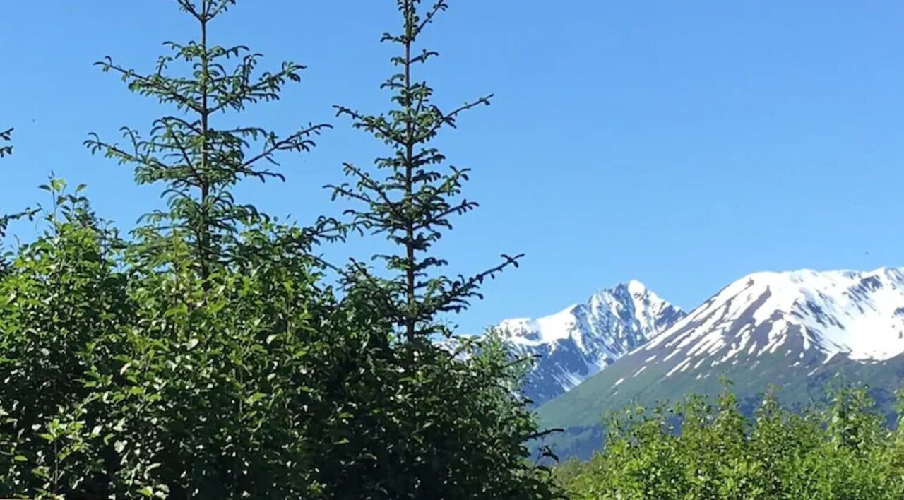 Photo of Others in Bear Creek