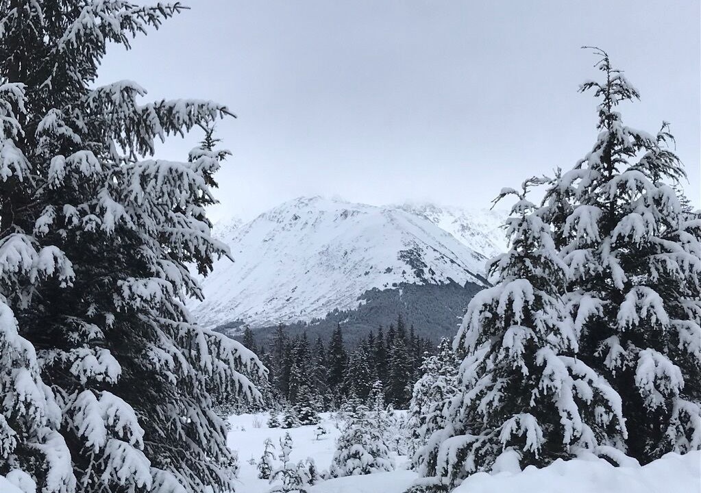Photo of Others in Alyeska