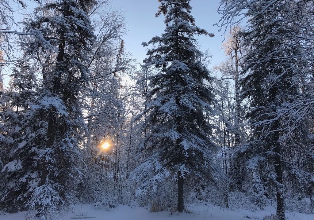 Photo of Others in Alyeska