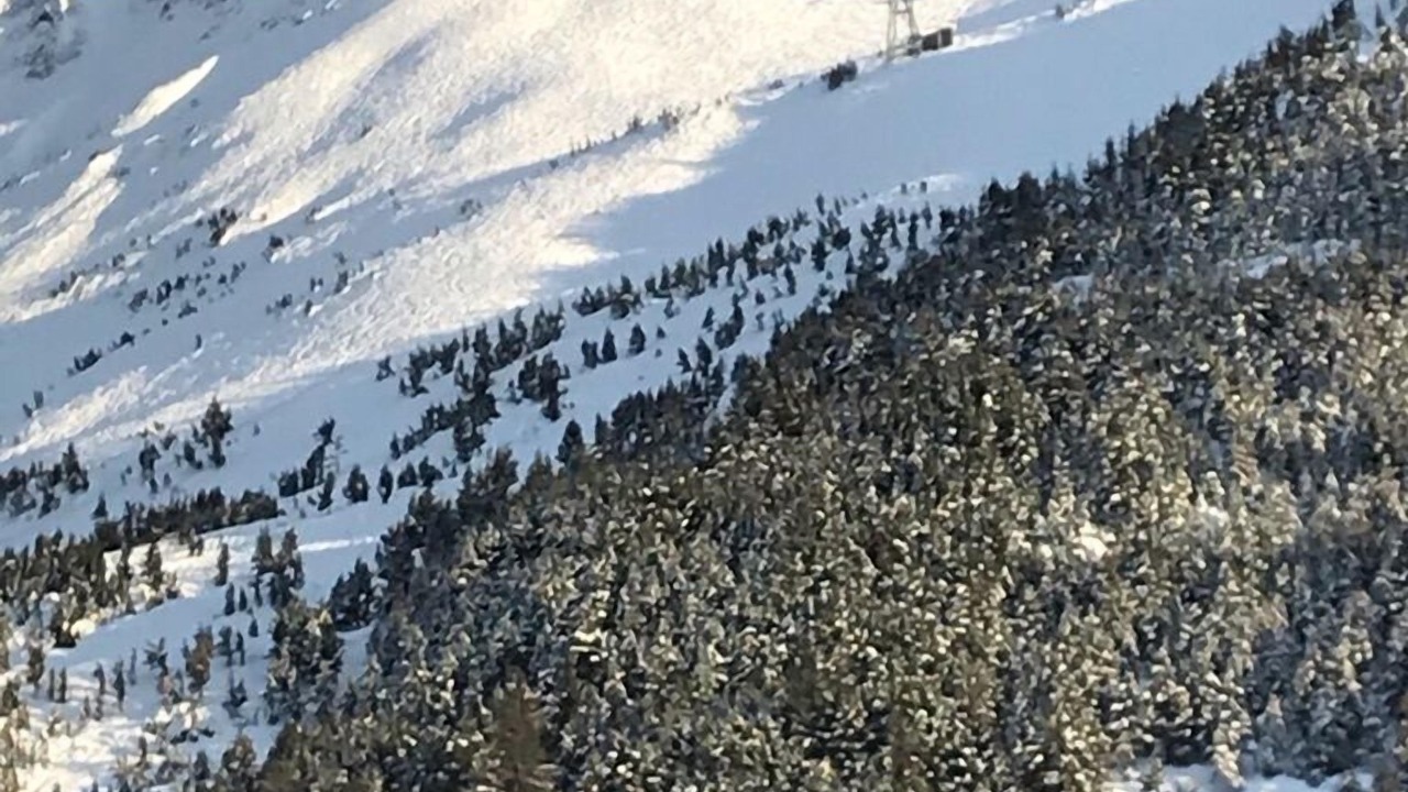 Photo of Others in Alyeska