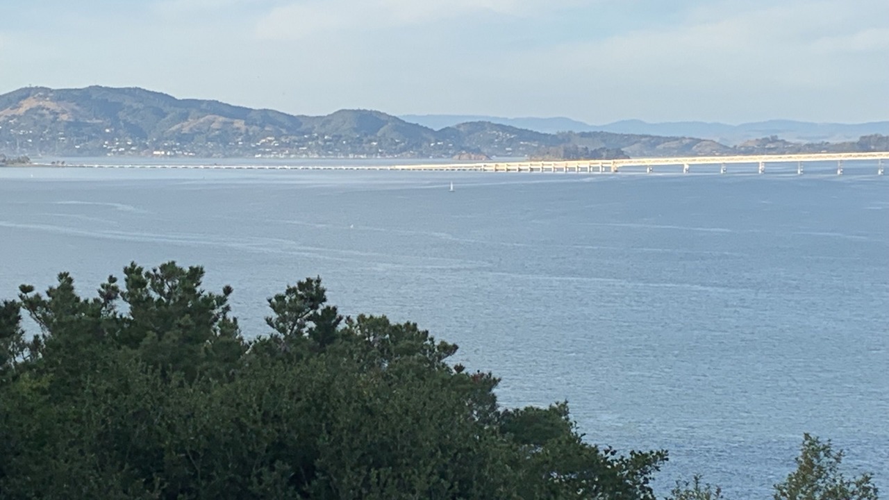 Photo of Others in Belvedere Tiburon