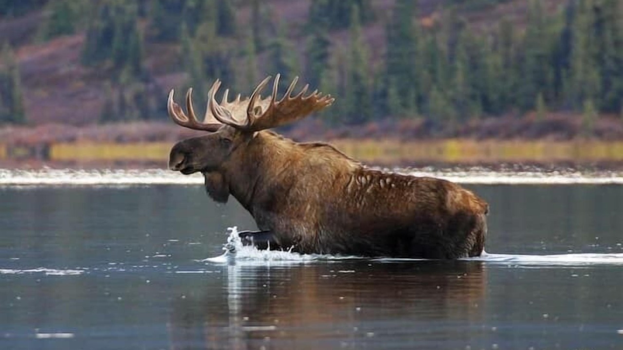Photo of Others in Healy