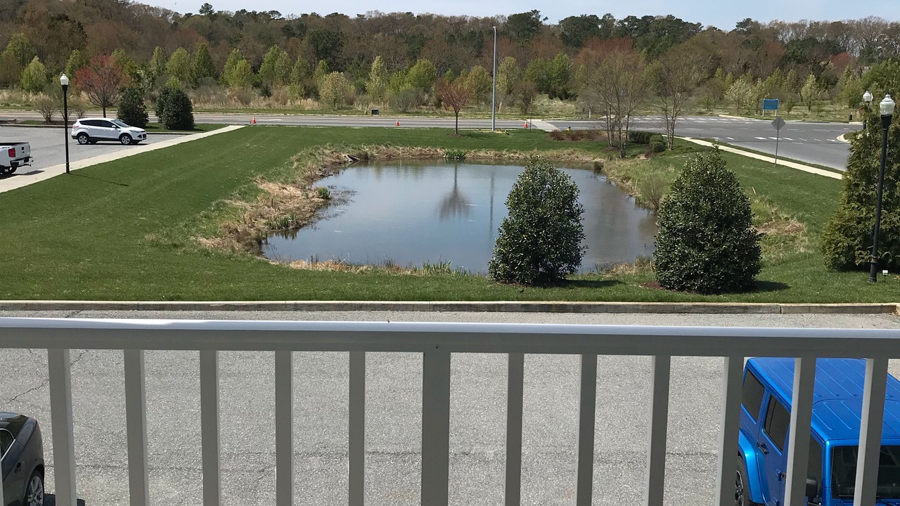 Photo of Outdoor in Rehoboth Beach