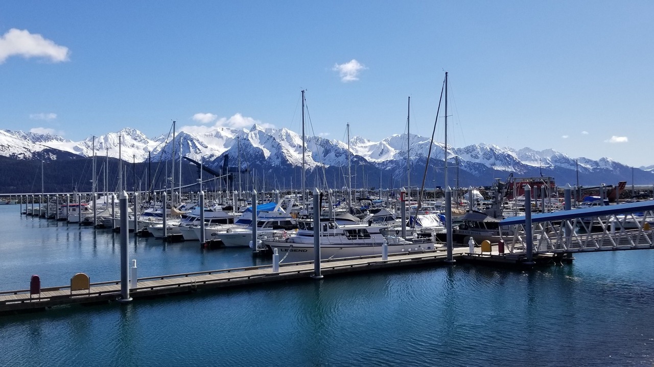 Photo of Others in Seward