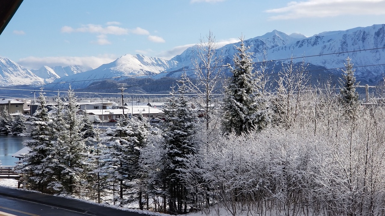 Photo of Others in Seward