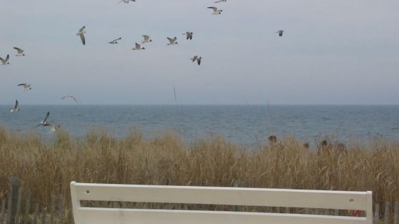 Photo of Others in South Rehoboth