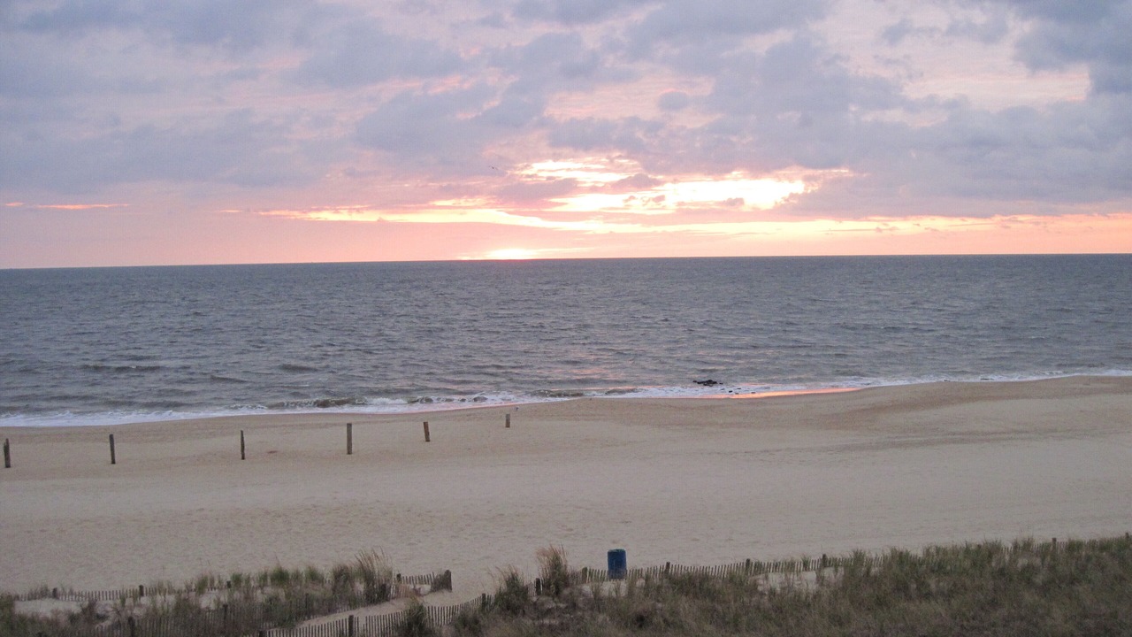 Photo of Others in South Rehoboth