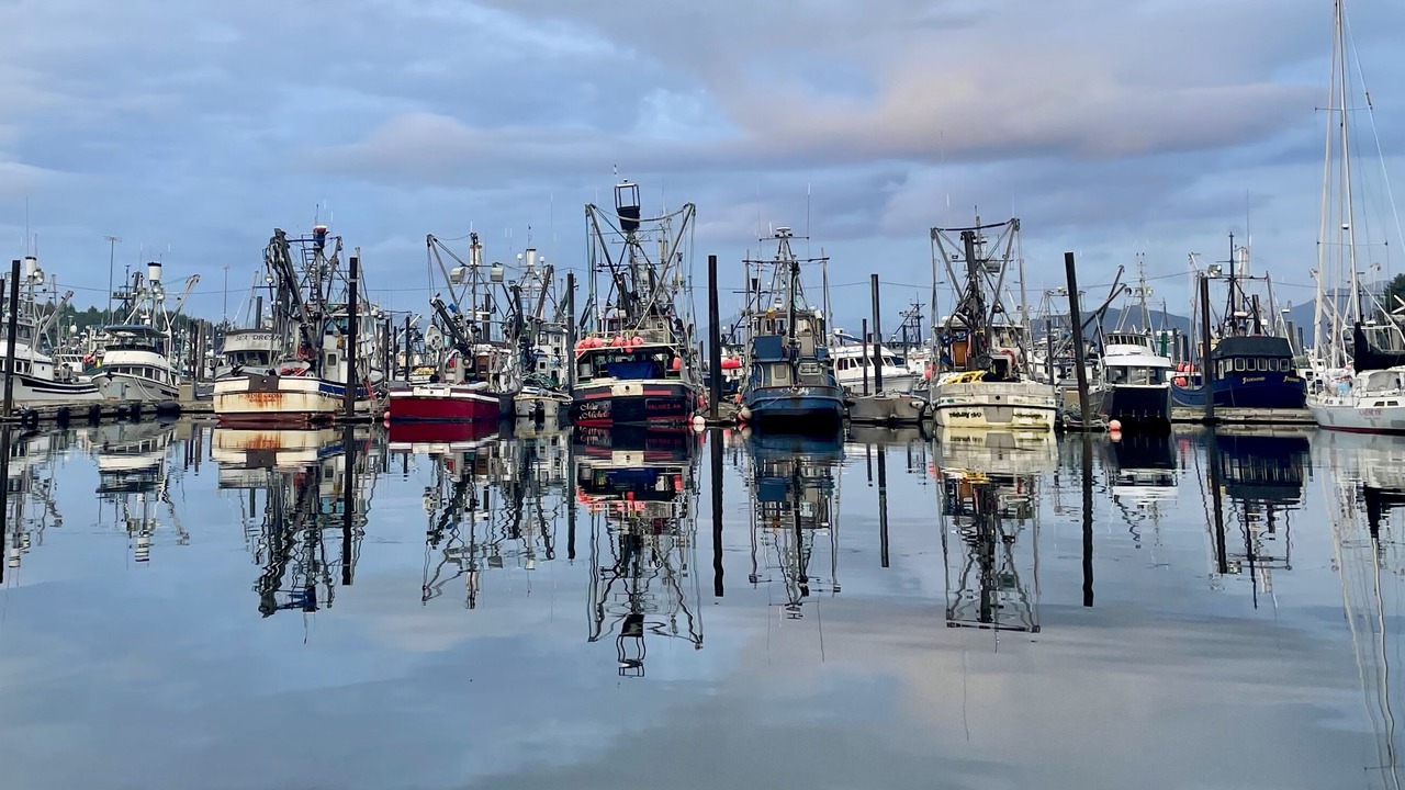 Photo of Others in Kodiak