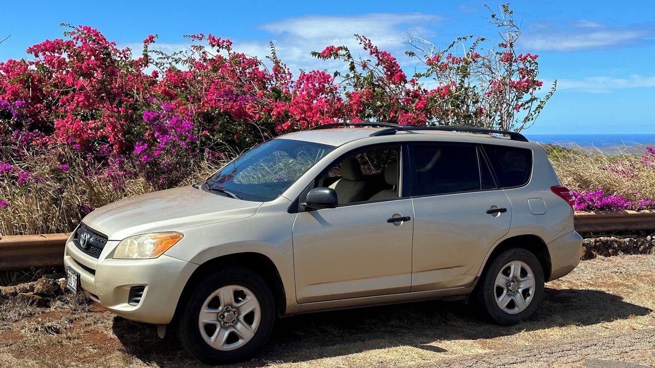 Photo of Others in Maunaloa