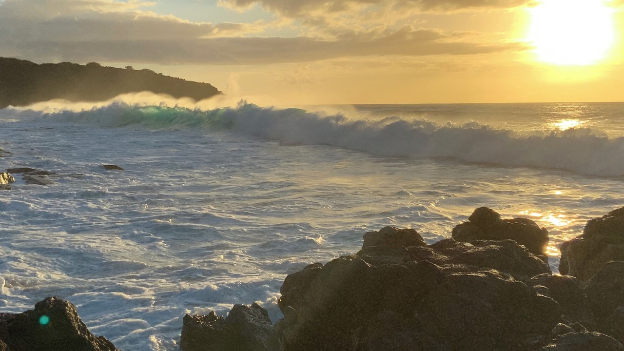 Photo of Others in Maunaloa