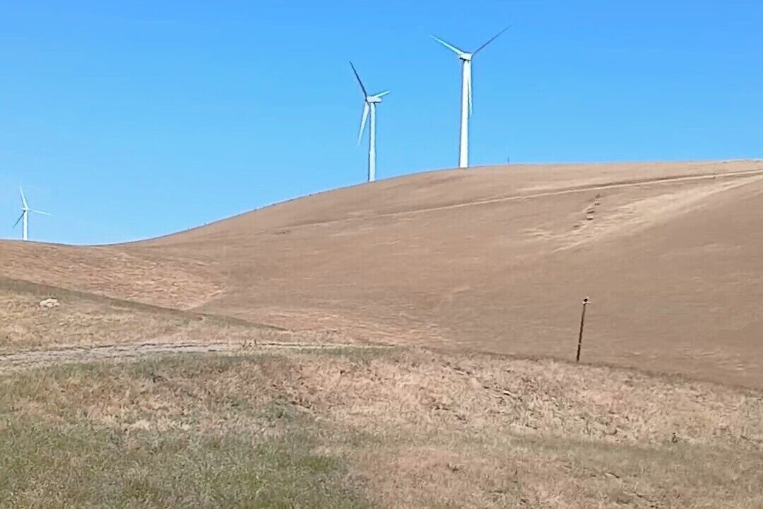 Photo of Others in Alameda County