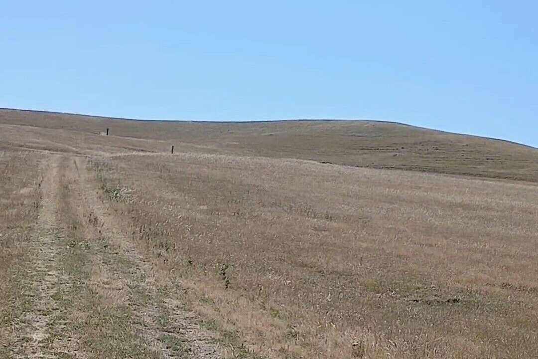 Photo of Others in Alameda County