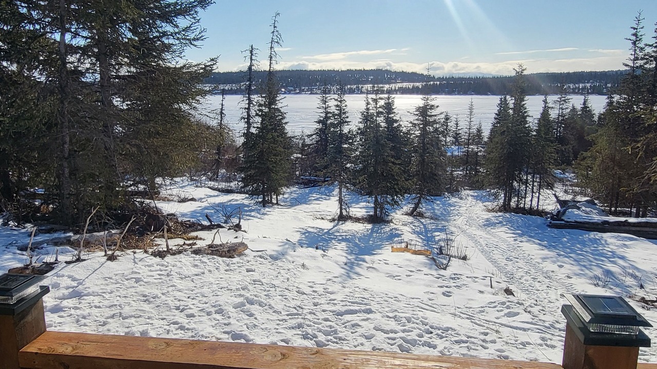 Photo of Outdoor in Homer