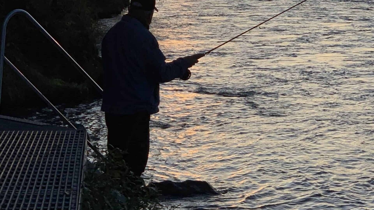 Photo of Others in Soldotna