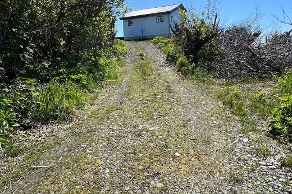 Photo of Outdoor in Homer