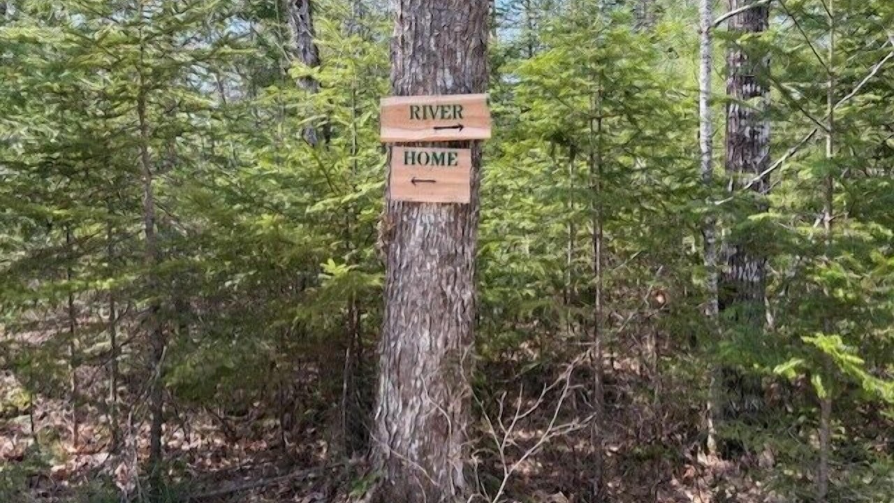 Photo of Others in Cherryfield