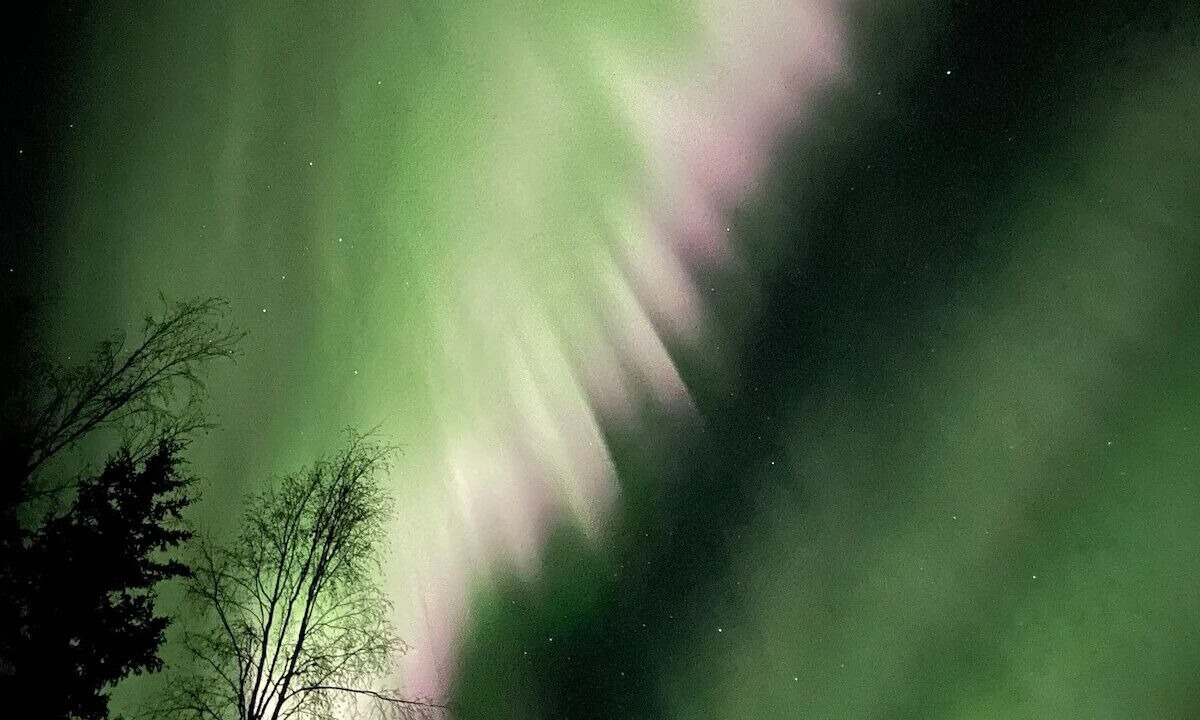 Photo of Others in Fairbanks
