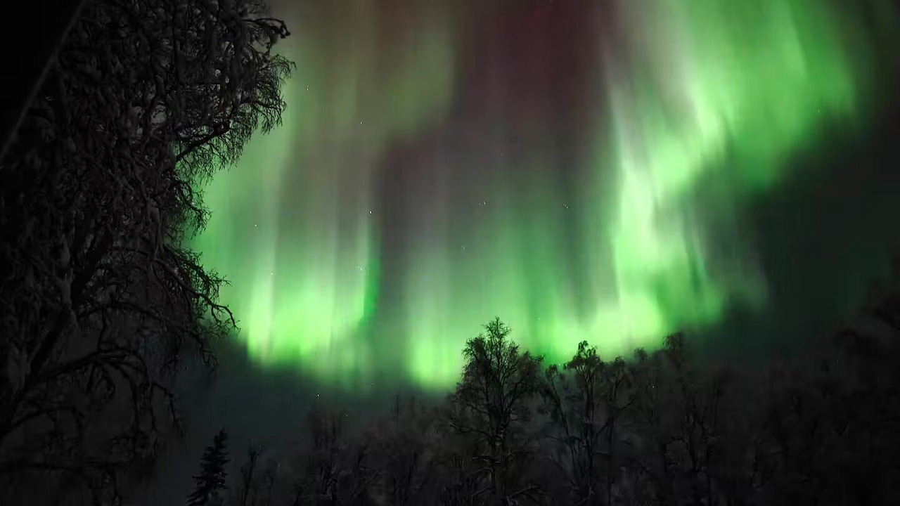 Photo of Others in Fairbanks