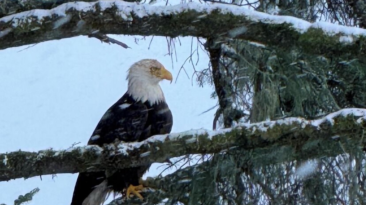Photo of Others in Wrangell