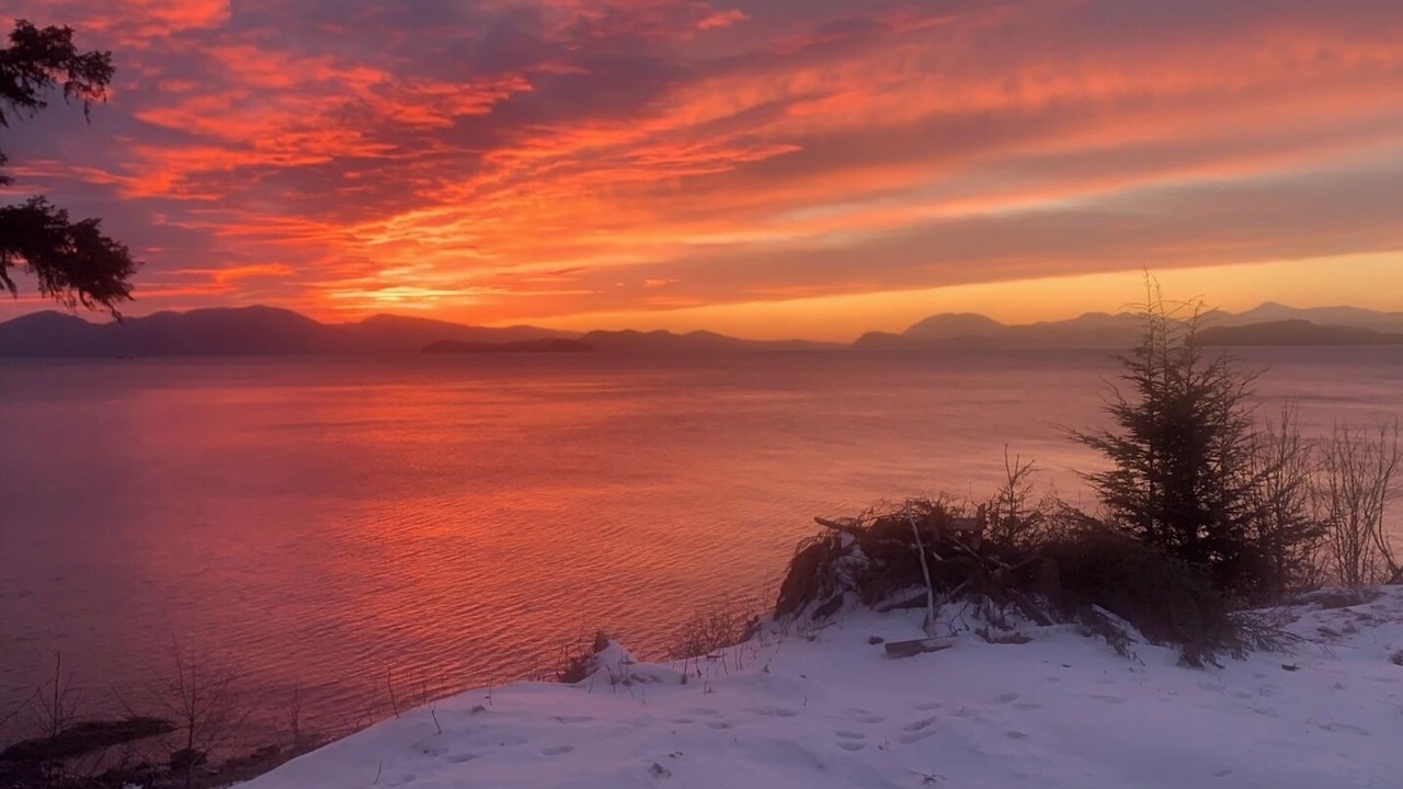 Photo of Others in Wrangell