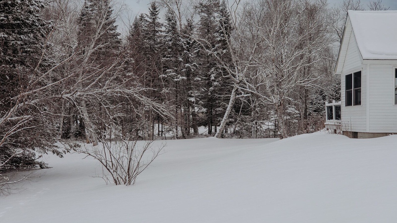 Photo of Outdoor in Abbot