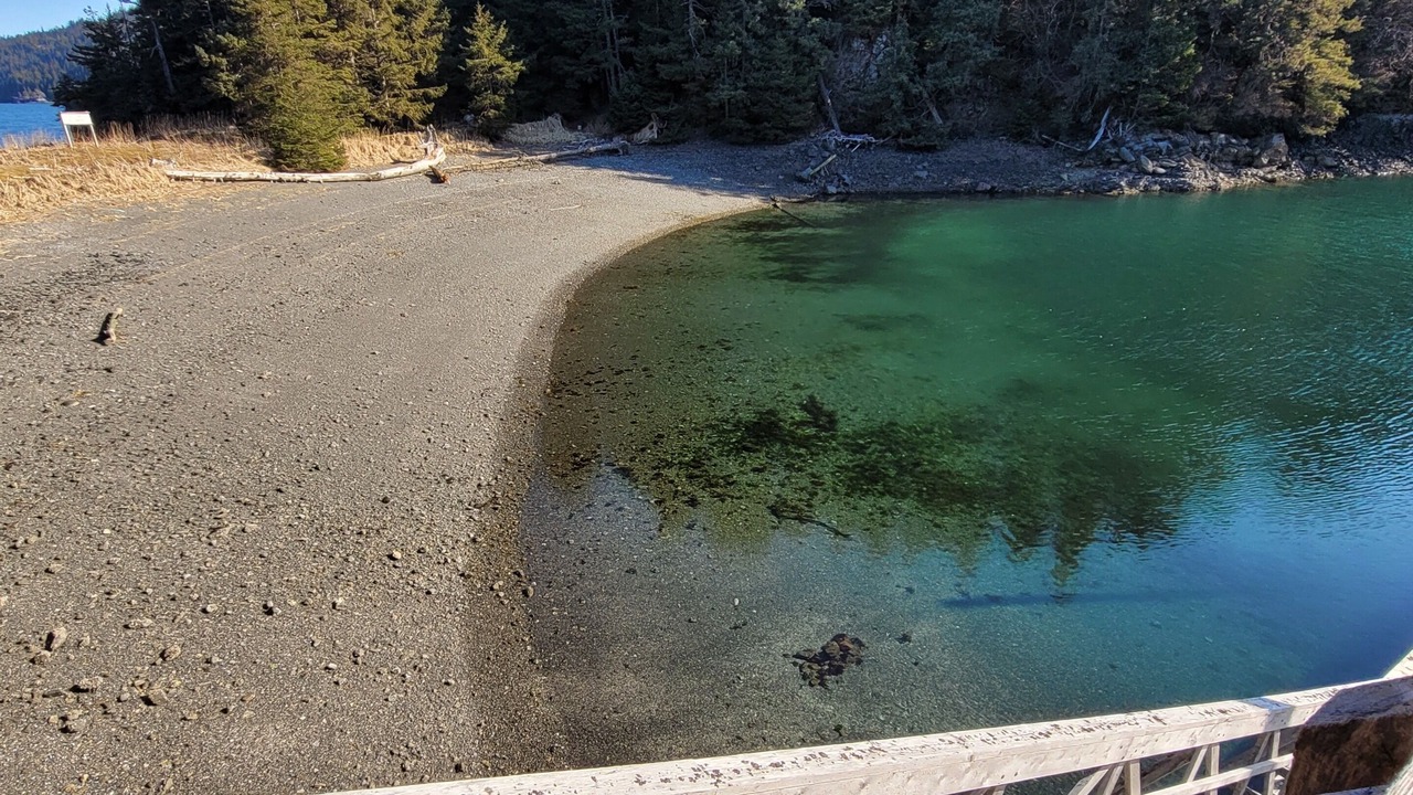 Photo of Others in Homer
