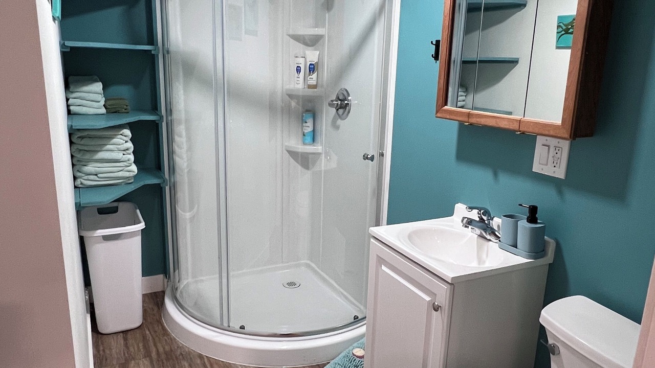 Photo of Bathroom in Homer
