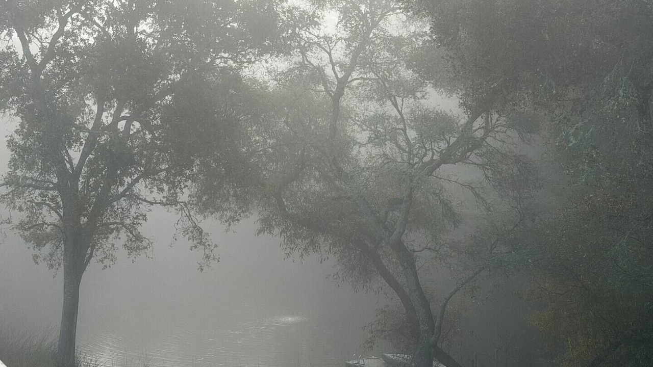 Photo of Others in Woodside