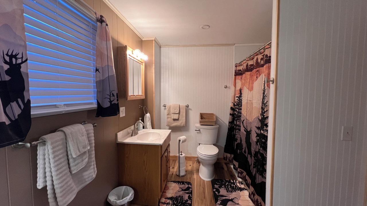 Photo of Bathroom in Jackman