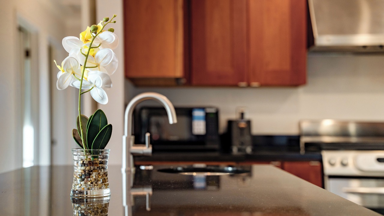 Photo of Kitchen in East Richmond Heights