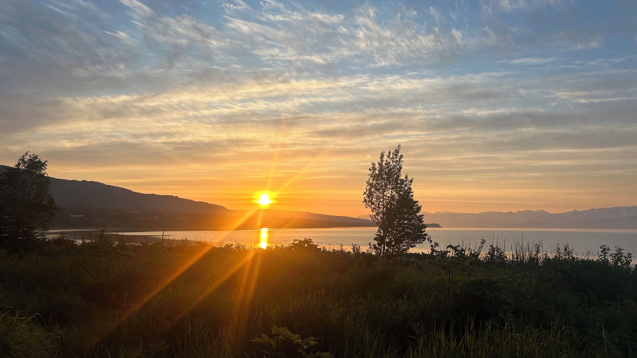 Photo of Others in Homer