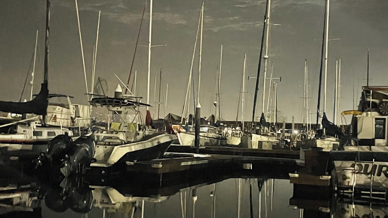 Photo of Others in Alameda