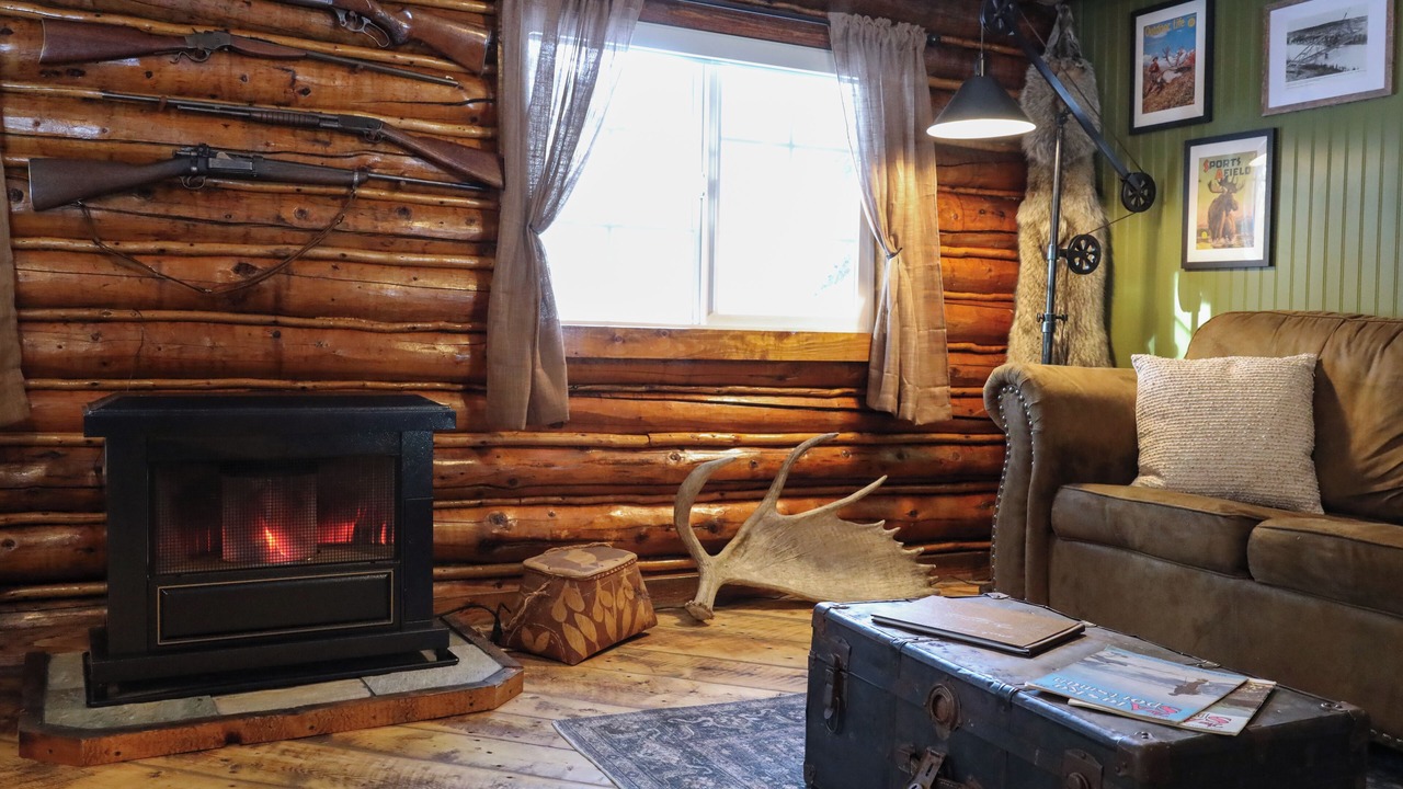 Photo of Livingroom in Gakona