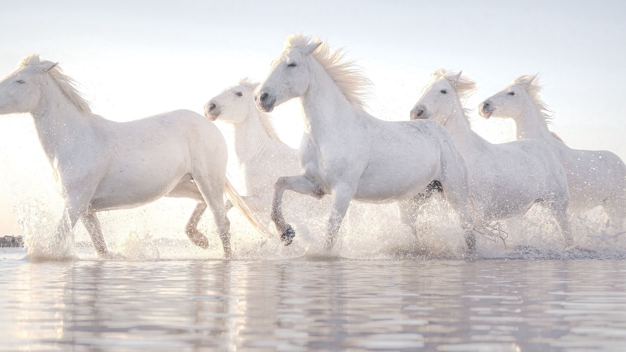 Photo of Others in Rio Grande