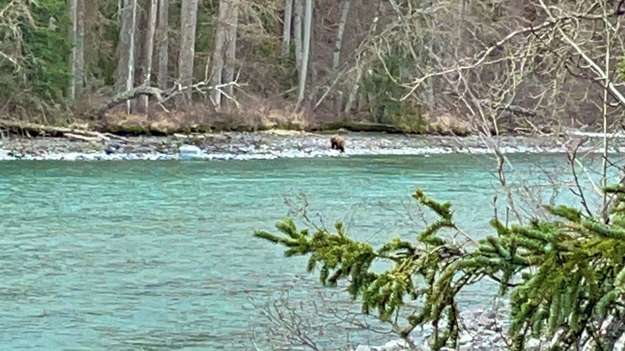 Photo of Others in Kenai