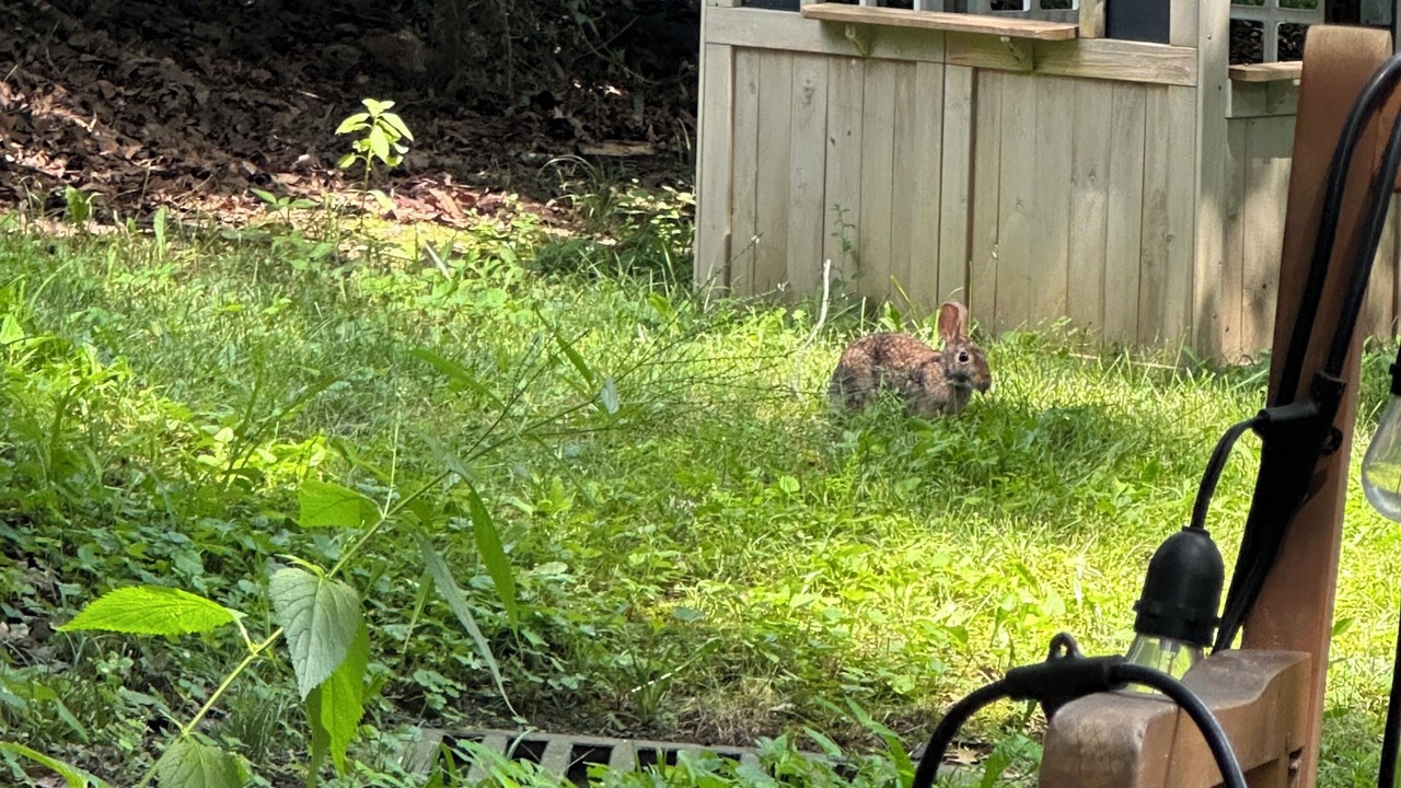 Photo of Outdoor in Lehy Acres