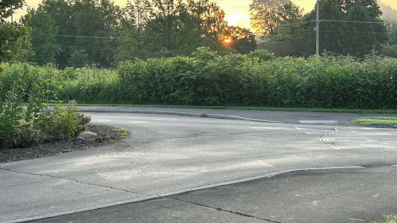 Photo of Others in Lehy Acres